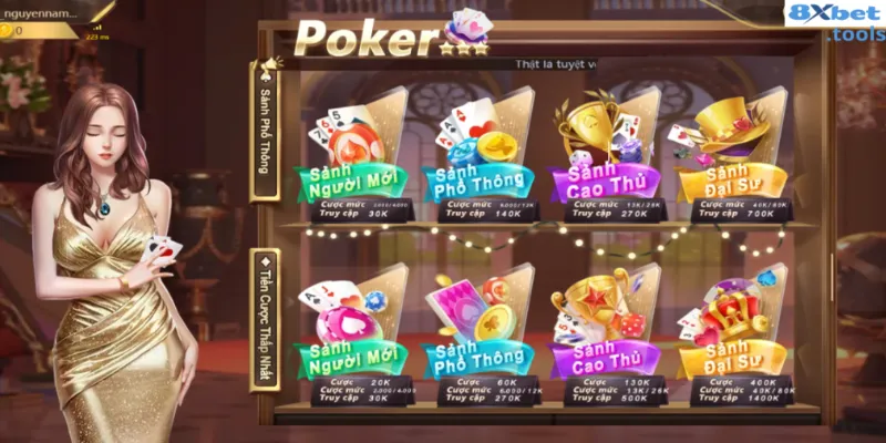 Tổng quan về luật poker